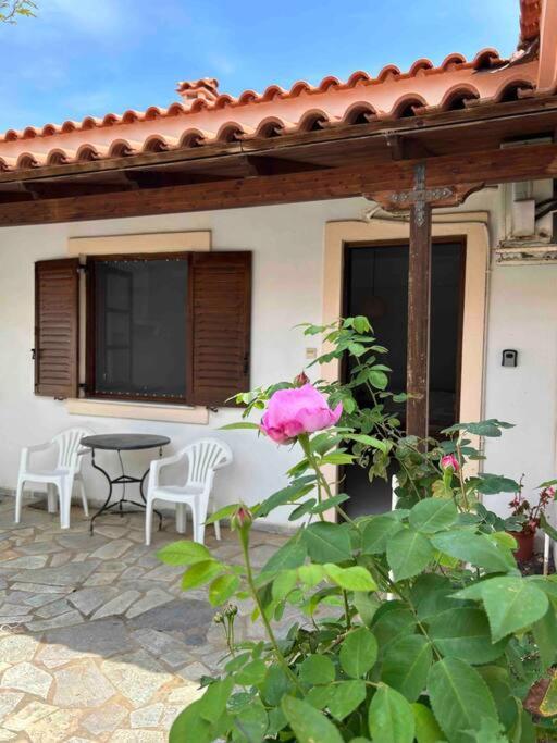 Cozy Studio In Skala, Agistri Skála Exterior foto